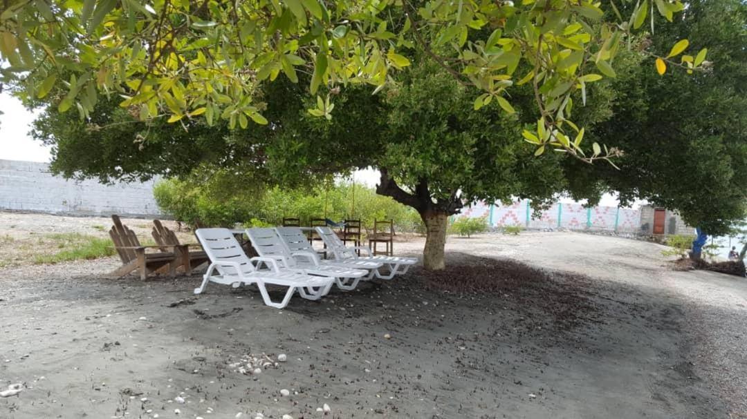 Evasion Beach Hotel Gressier Extérieur photo